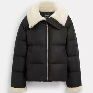 Coach FW23 Black Long-Sleeve Down Jacket